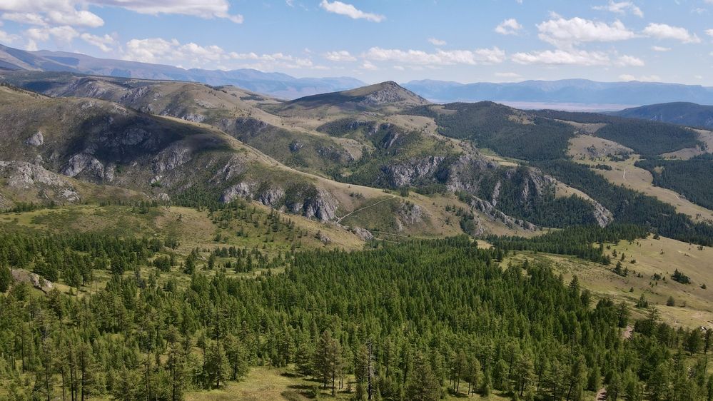 Photograph by Svetlana Kovalchuk