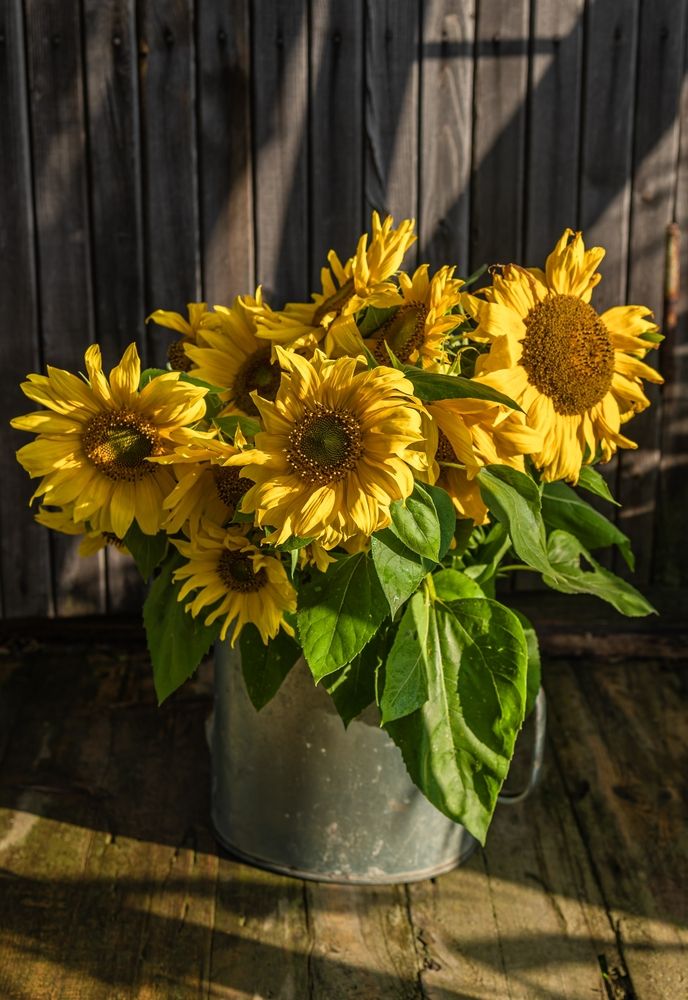 Photograph by Галина Патрушева