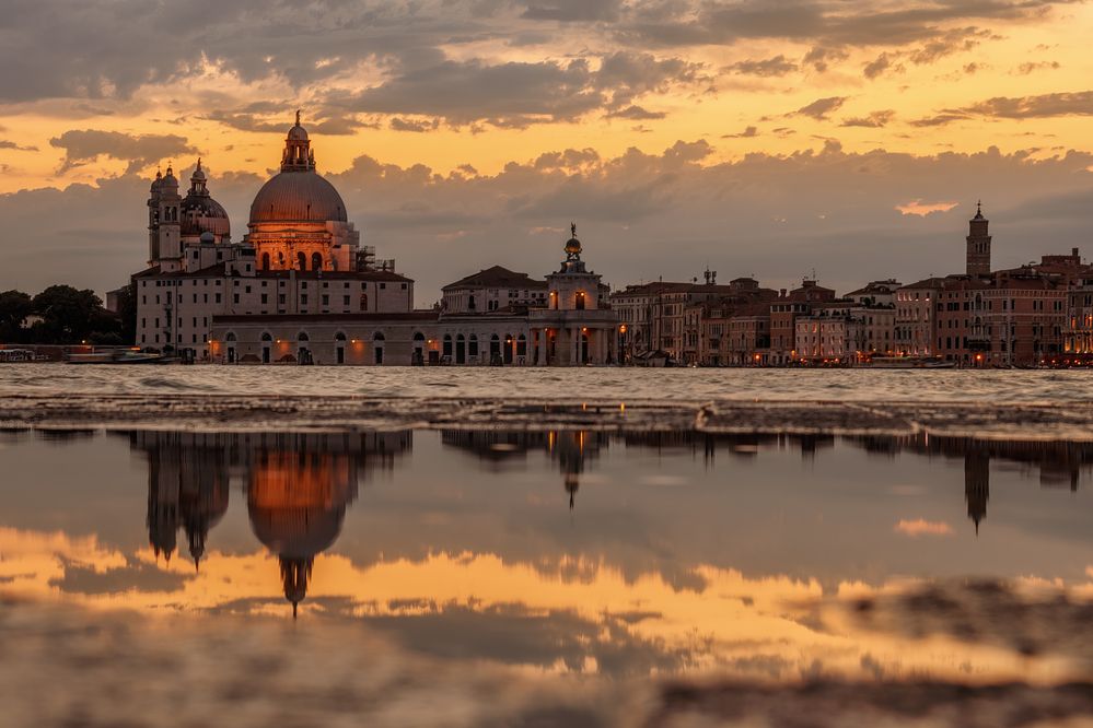 Photograph by Sara Jazbar