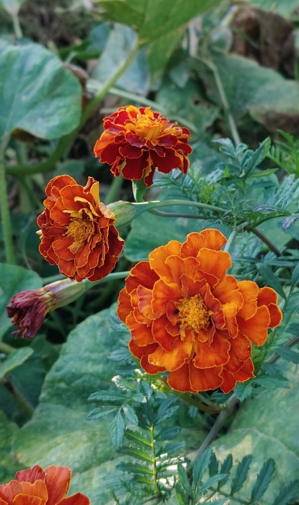 На рассвете