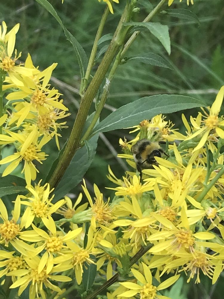 Photograph by Татьяна Гуськова