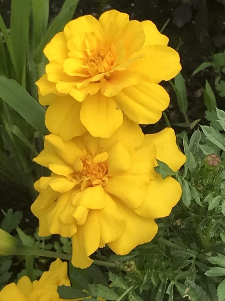 Photograph by Татьяна Гуськова