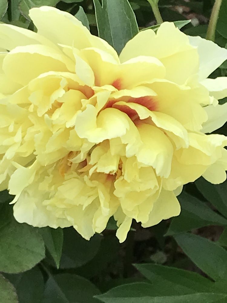 Photograph by Татьяна Гуськова