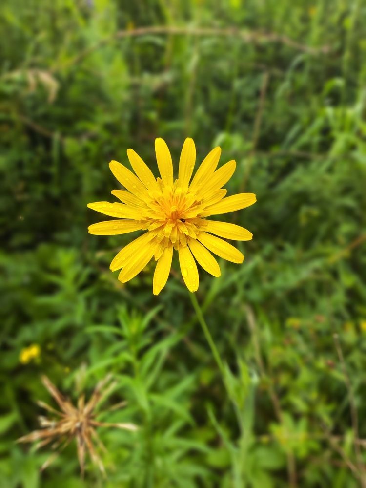 Photograph by Татьяна Пьянзина