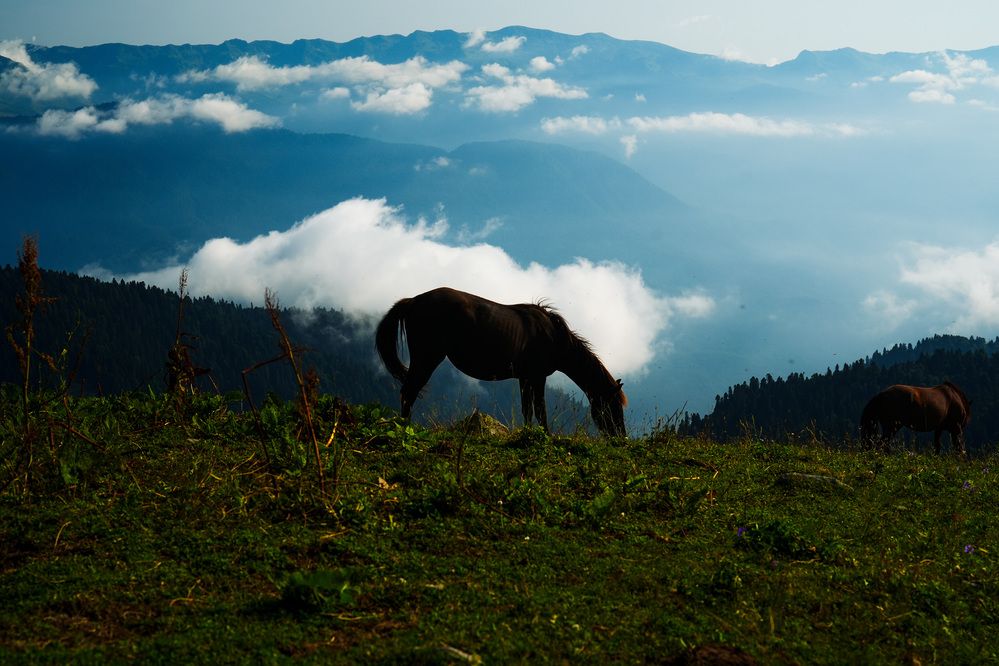 Photograph by Алексей Смолев