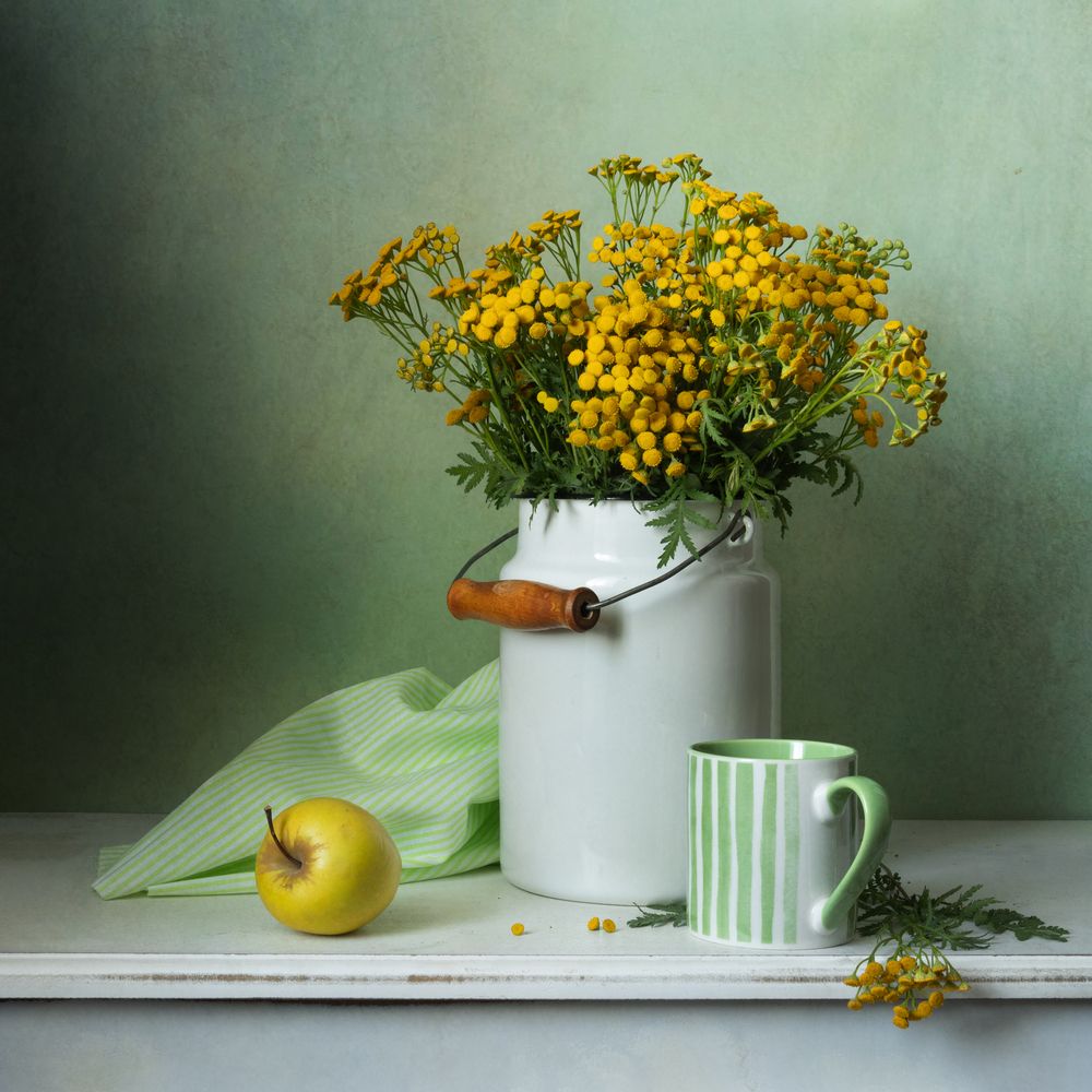 Photograph by Елена Коврижных