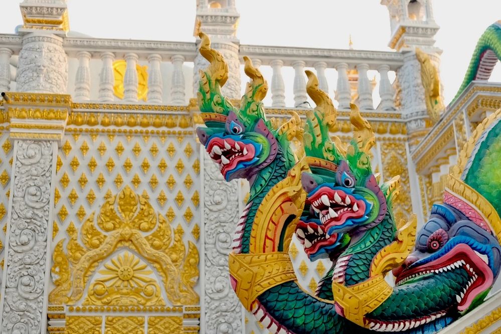 Photograph by Tô Đàm Quân