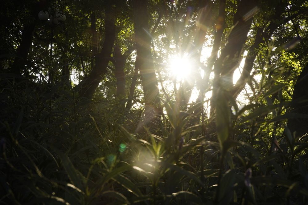 Photograph by Tô Đàm Quân