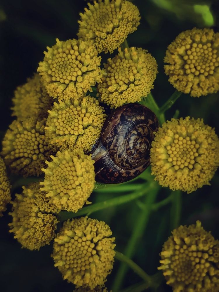 Photograph by Юлия Носкова