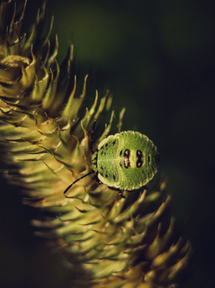 Photograph by Юлия Носкова