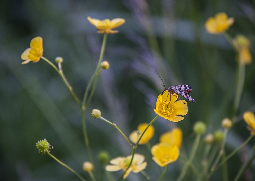 Photograph by Николай Кузьмин