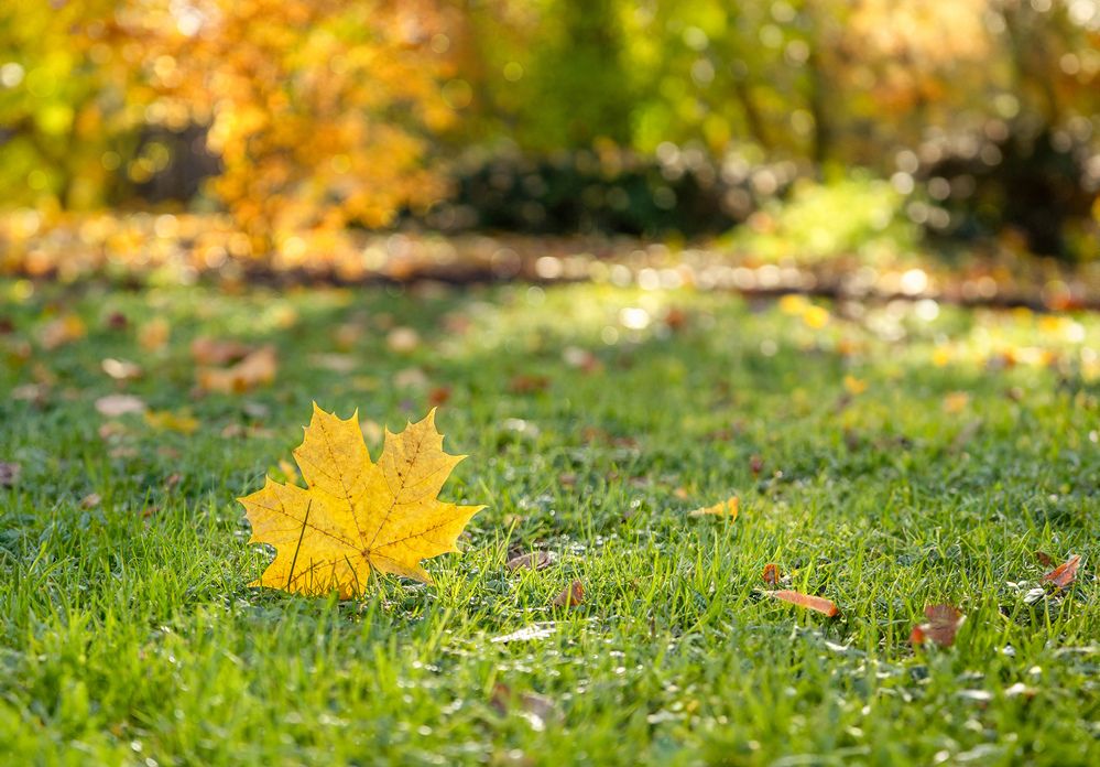 Photograph by Olga Min