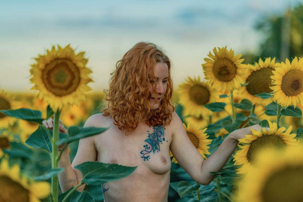 Photograph by Лазарев Сергей