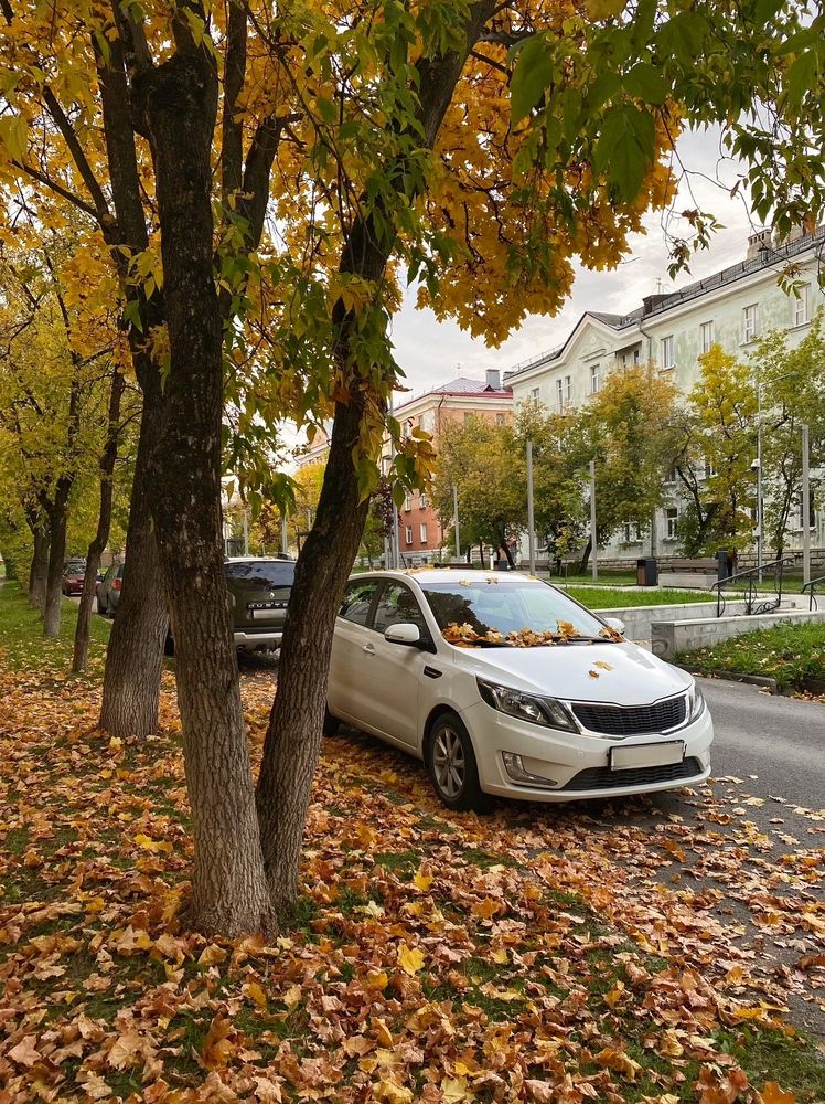 Photograph by Жанна Каргаполова