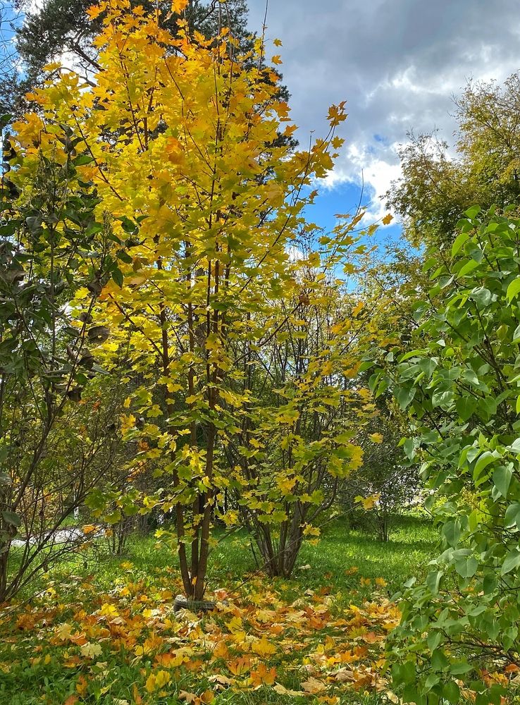 Photograph by Жанна Каргаполова