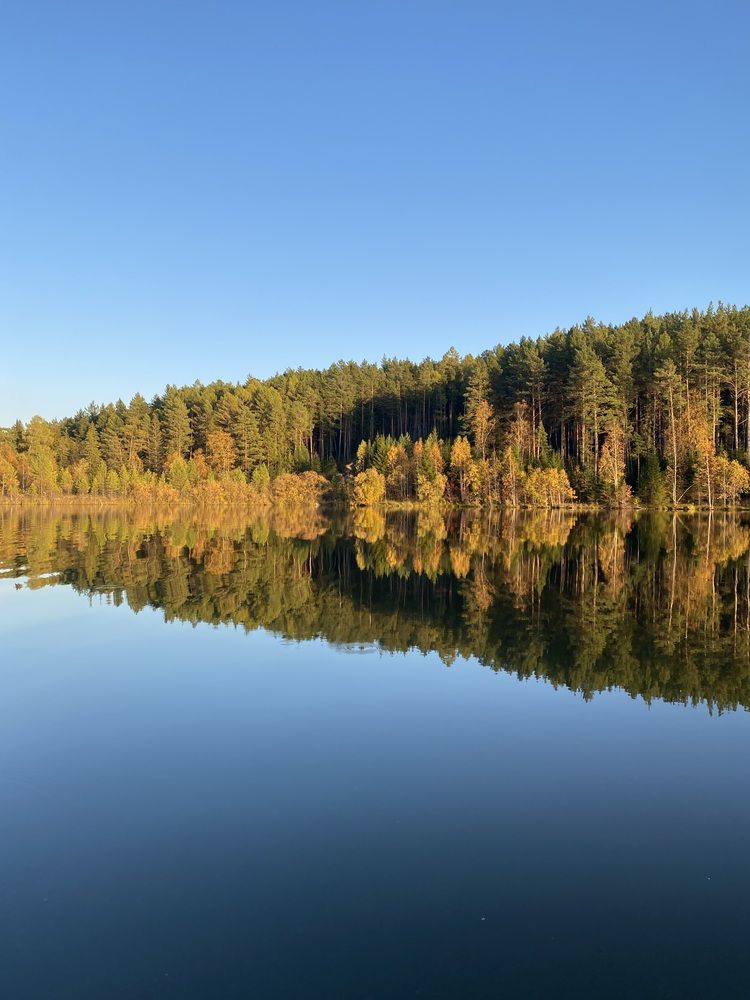 Photograph by Светлана Дмитриева