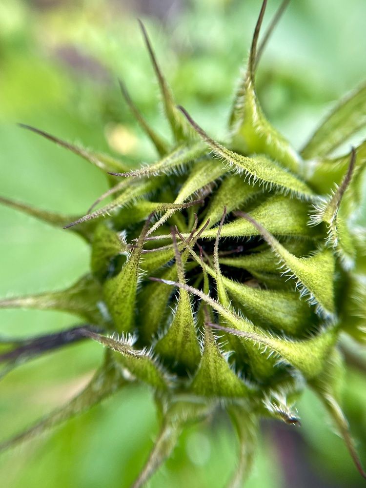 Photograph by Светлана Дмитриева