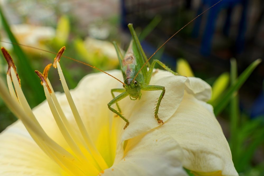 Photograph by Михаил Косолапов