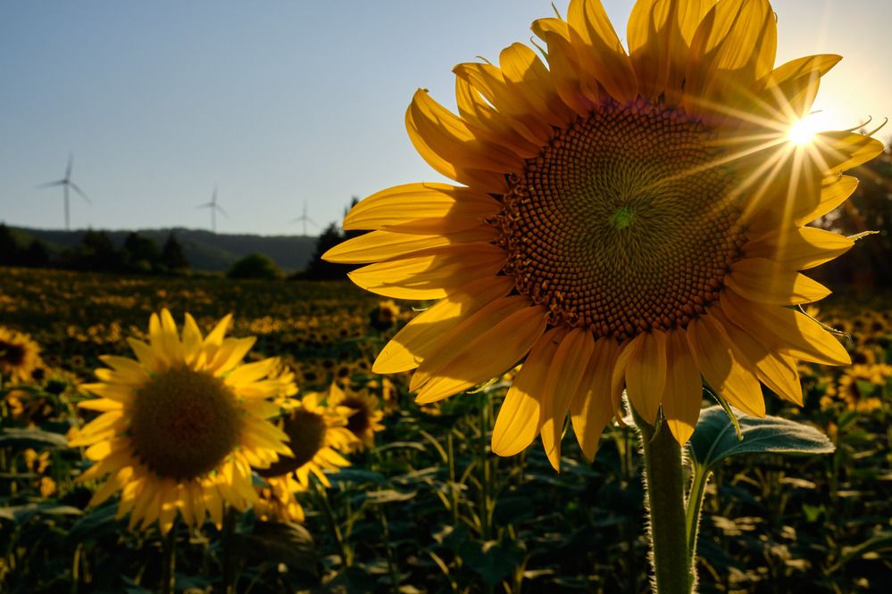 Photograph by OZHAN ARIOGLU