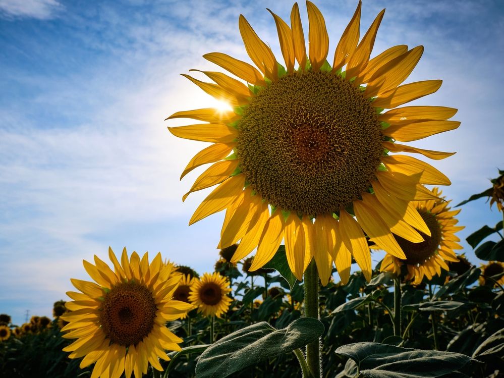 Photograph by OZHAN ARIOGLU