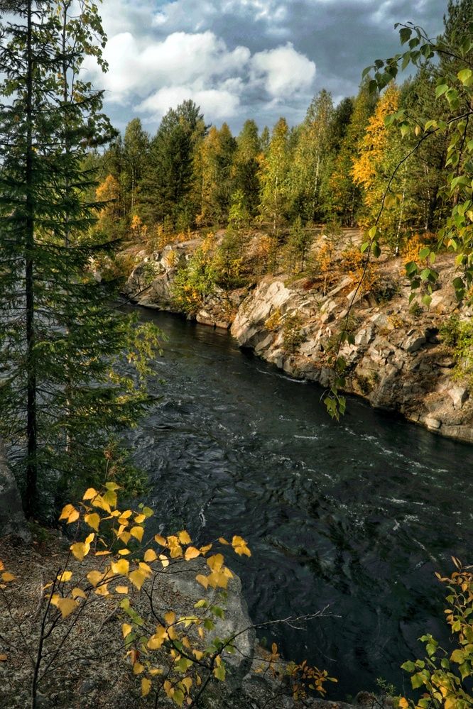 Фотография автора Татьяна Даль