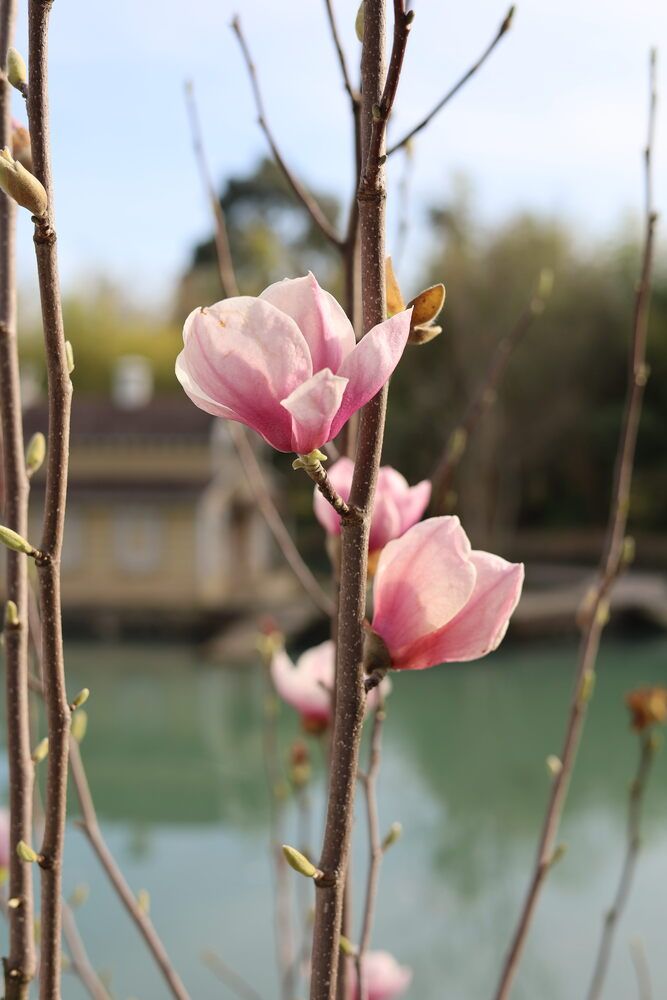 Photograph by Леся Просецкая