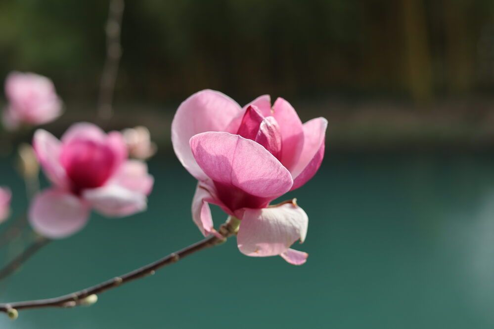 Photograph by Леся Просецкая