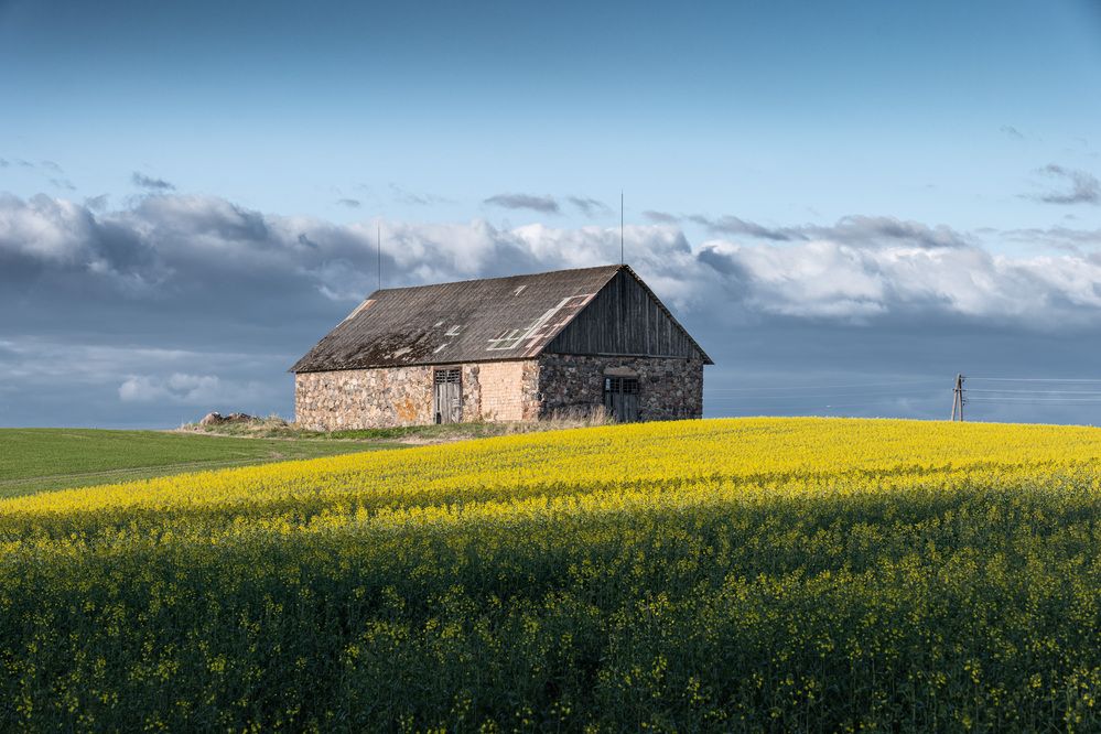 Photograph by Гордон Николай