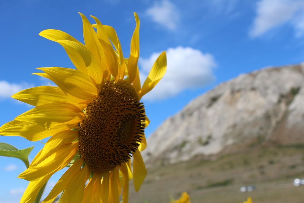Photograph by Наталья Волкова