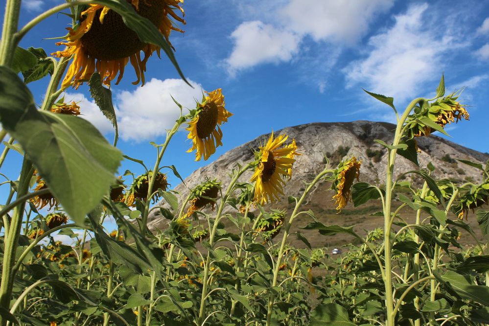Photograph by Наталья Волкова