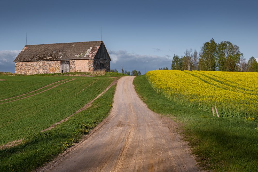 Photograph by Гордон Николай