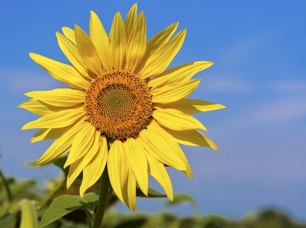 Photograph by Дмитрий Матвеев