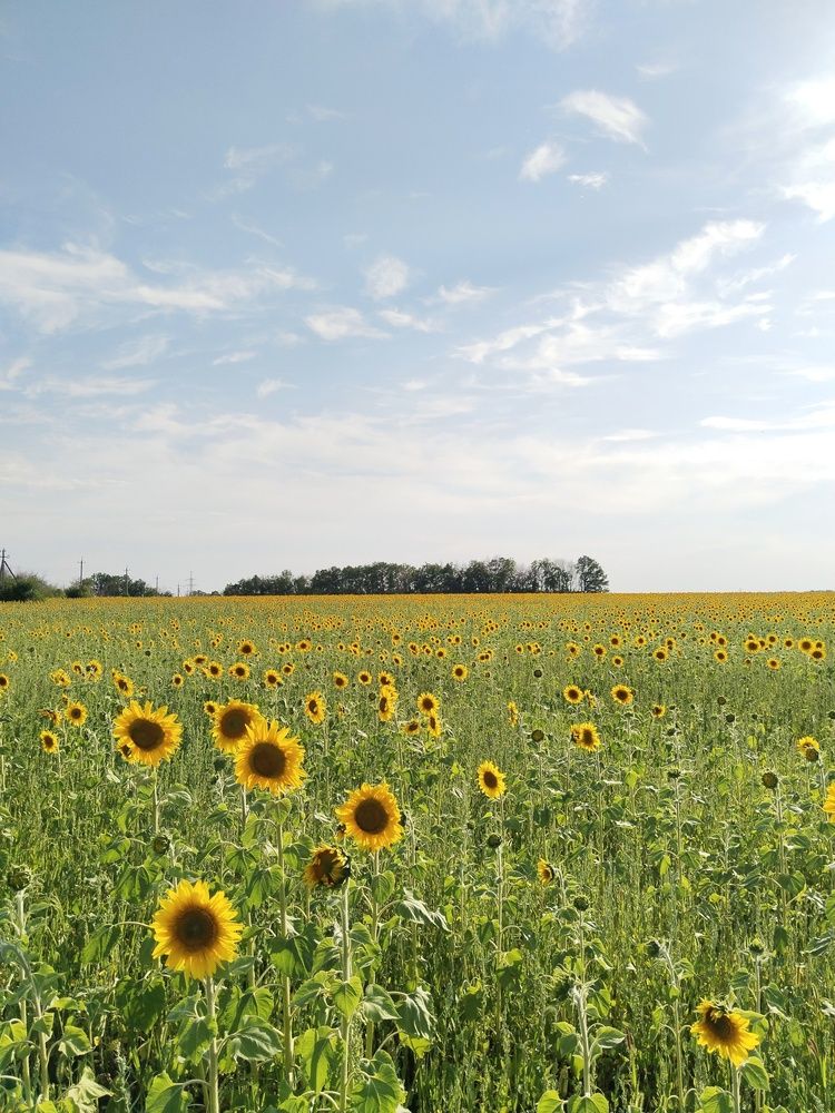 Photograph by Ольга Чернова