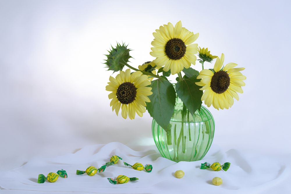 Photograph by Анжелика Королева