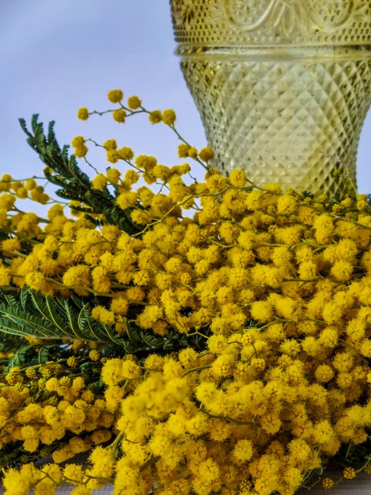 Photograph by Ольга Дёмина