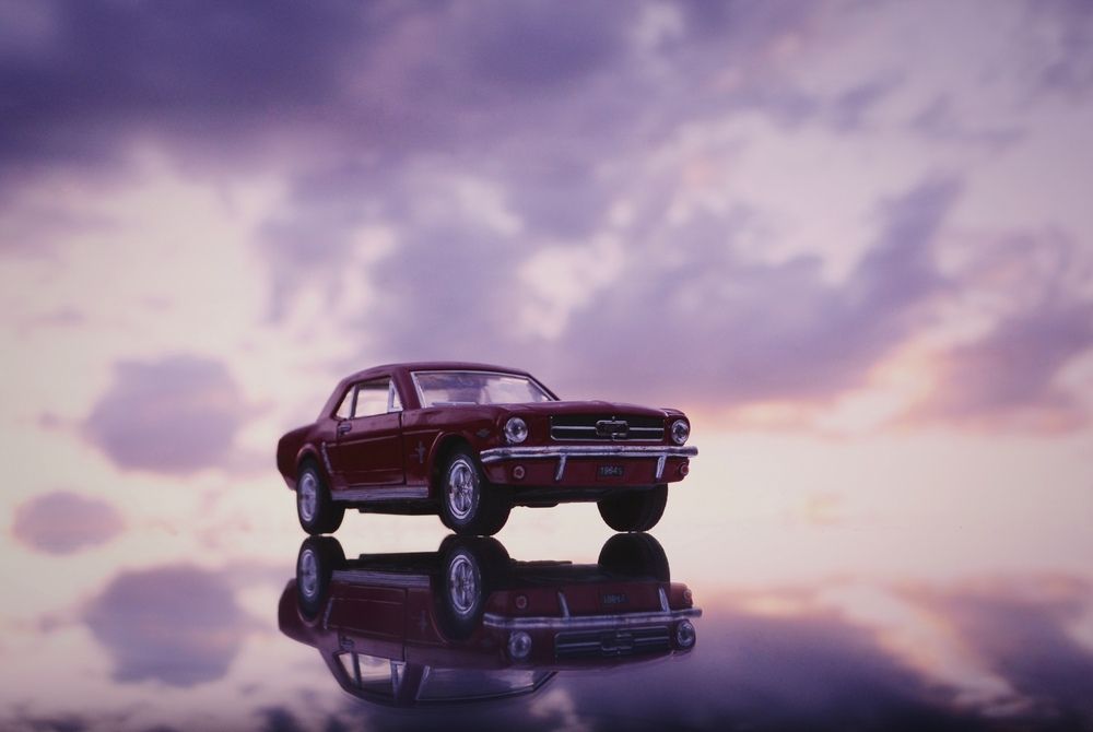 Фотография автора Екатерина Шлехт