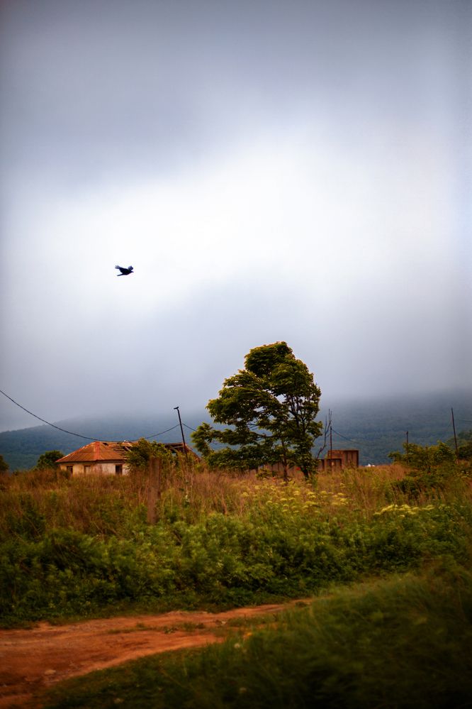 Photograph by Юлия Шишкина (Мадера)