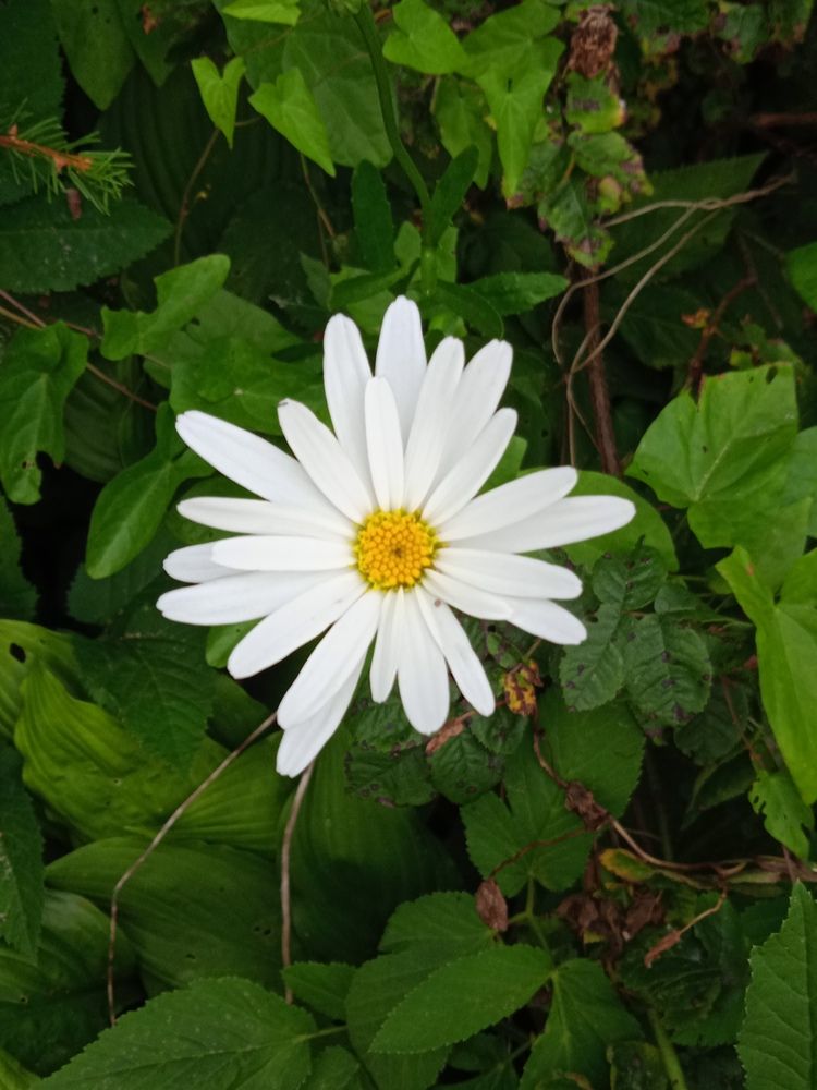 Photograph by Фёдор Викторович