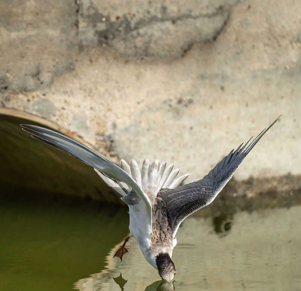 Photograph by Leslee Jayachandran