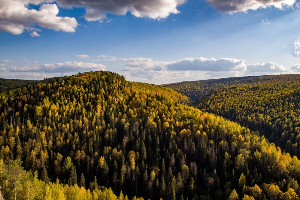 Photograph by Александр Суворов