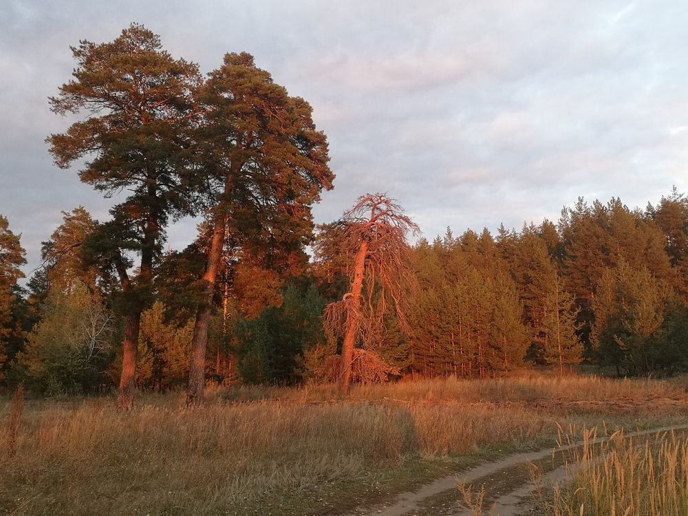 Photograph by Tatiana Troitskaya