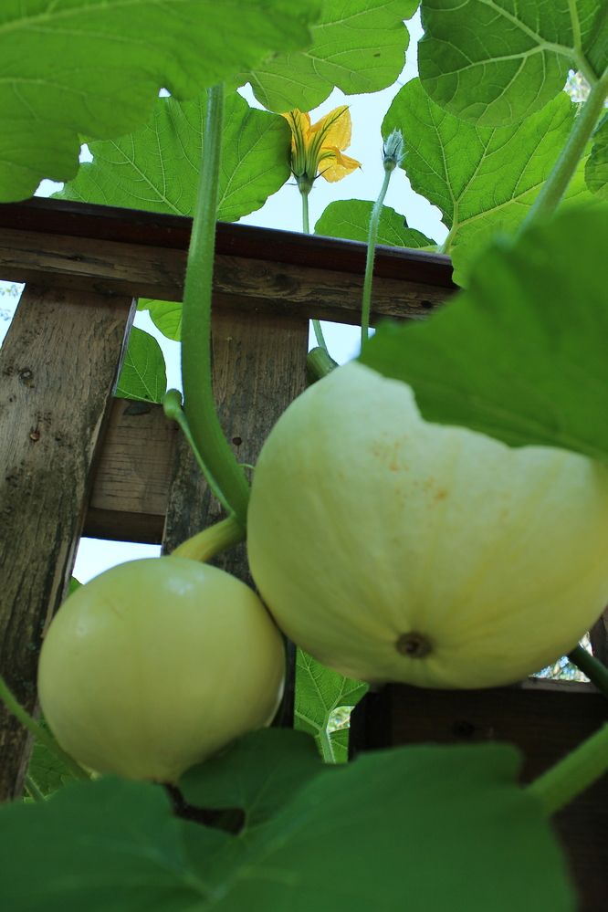 Photograph by Наталья Волкова