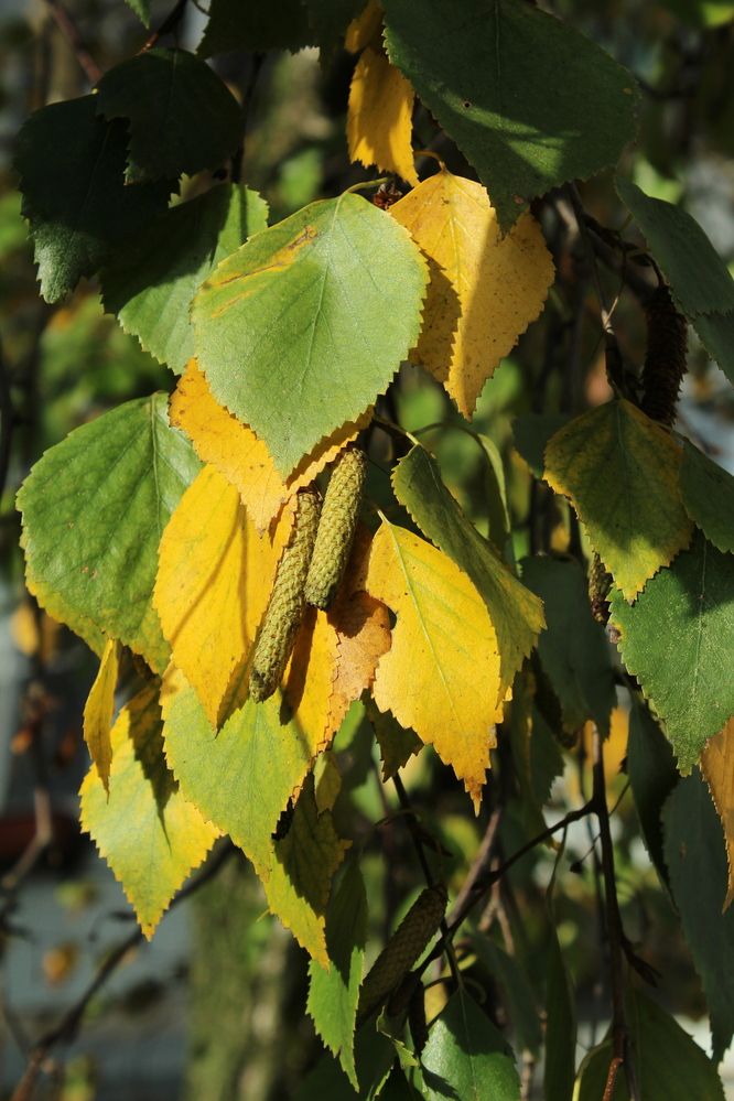 Photograph by Наталья Волкова