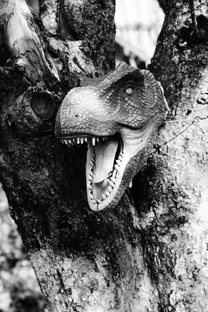 Photograph by Алексей Шевцов