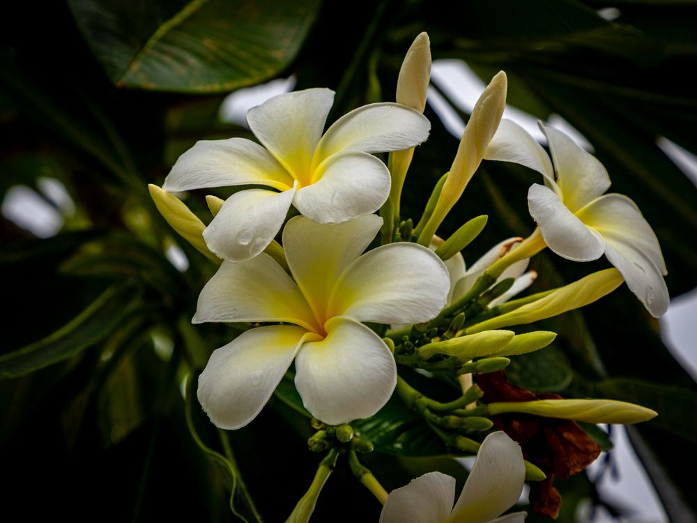 Photograph by Anna Amarova