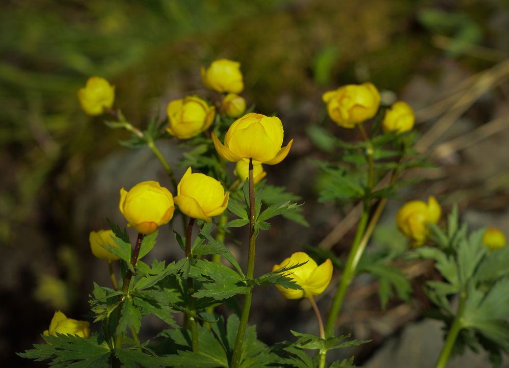 Photograph by Екатерина Казарцева