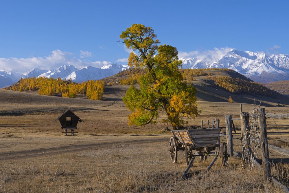 Фотография автора Дейнекина Галина