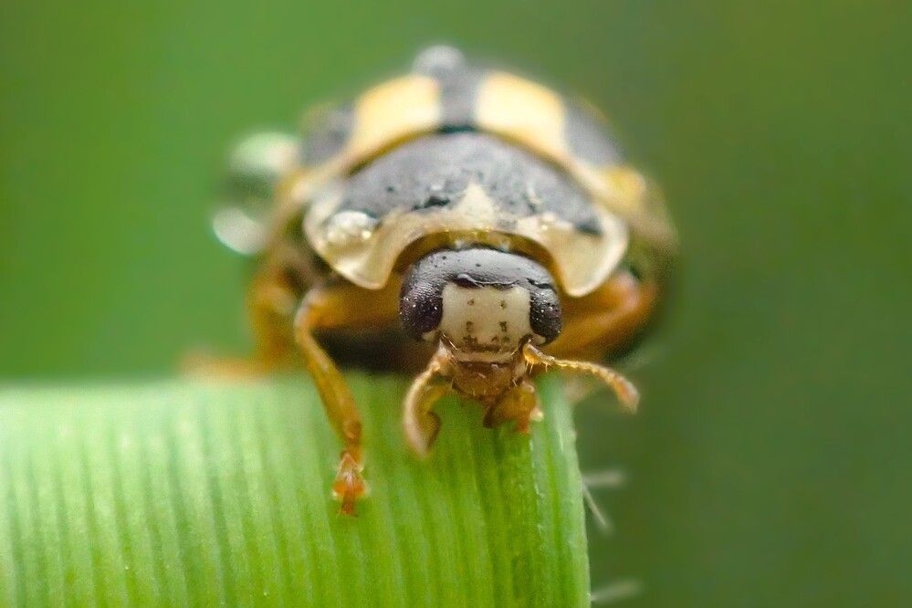 Photograph by Станислав Карташов