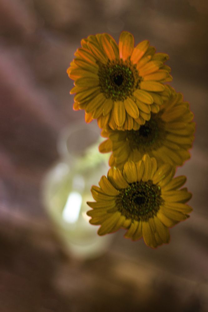 Photograph by Елена Беланенко