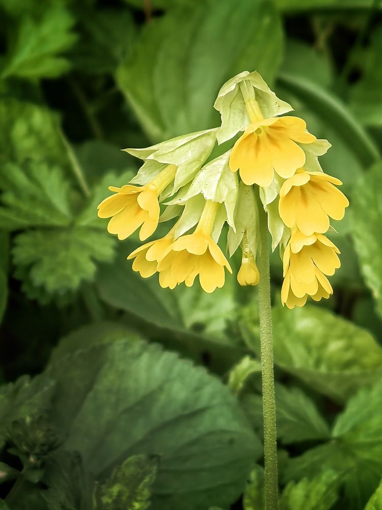 Photograph by Кривенко Владимир